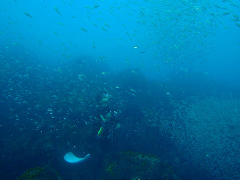 �ɓ������ʐ^�@�N���b�N�ő傫���Ȃ�܂�