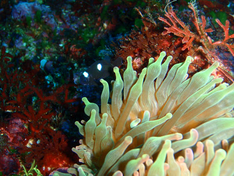 �ɓ������ʐ^�@�N���b�N�ő傫���Ȃ�܂�