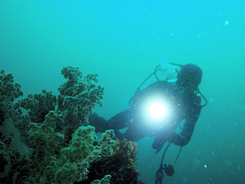 �ɓ������ʐ^�@�N���b�N�ő傫���Ȃ�܂�