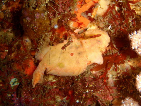 �ɓ������ʐ^�@�N���b�N�ő傫���Ȃ�܂�