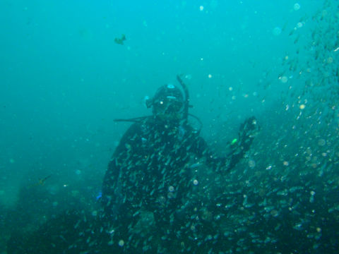 �ɓ������ʐ^�@�N���b�N�ő傫���Ȃ�܂�