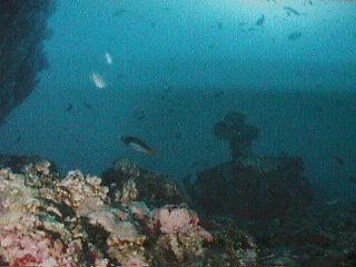 �J�e�h����