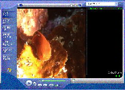 �_���S�E�I ����R�X�Skb �s�����