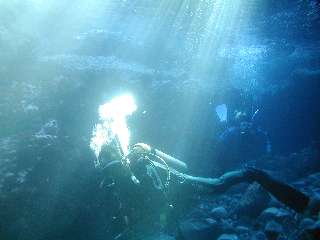 �x�˃O���b�g�H�ʐ^