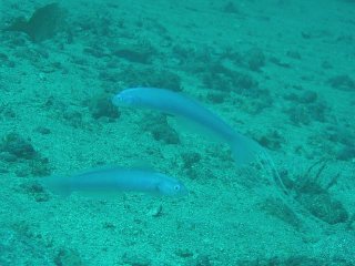 �n����񋟂̎ʐ^�ł�