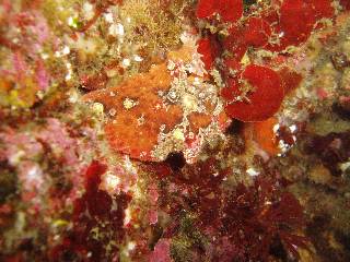 �ǂ��ɂ��邩�A������܂����H