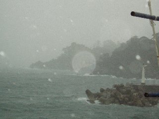 �P�O���X���@�䕗