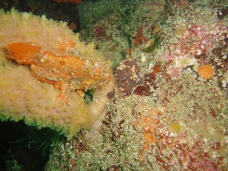 �����ʐ^�@