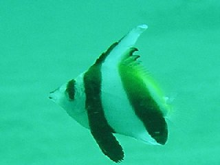 �����ʐ^�@�`����񋟁@