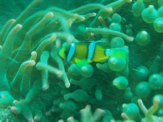 �����ʐ^�@