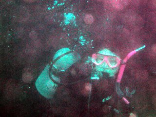  �e�r����̎ʐ^