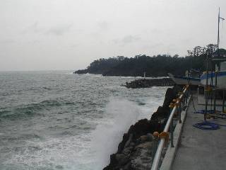 �C���[�W�ʐ^